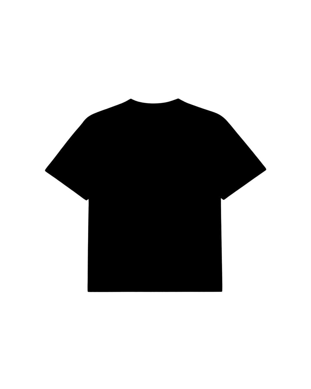 Black Flamingo Groove T-shirt grey